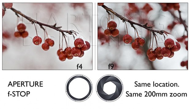 slr_workshop_hartong