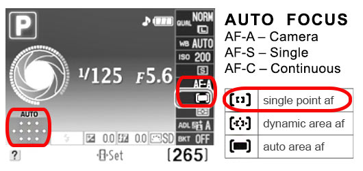 focus Nikon Focus Tips