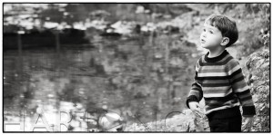 diffused natural light