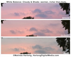 white-balance-hartong
