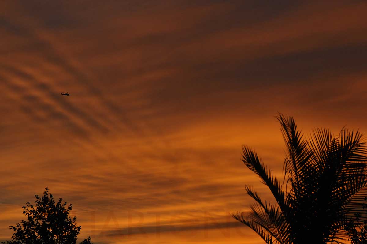 iso 800, f 5.6, 1/1600, -1 EV, cloudy wb