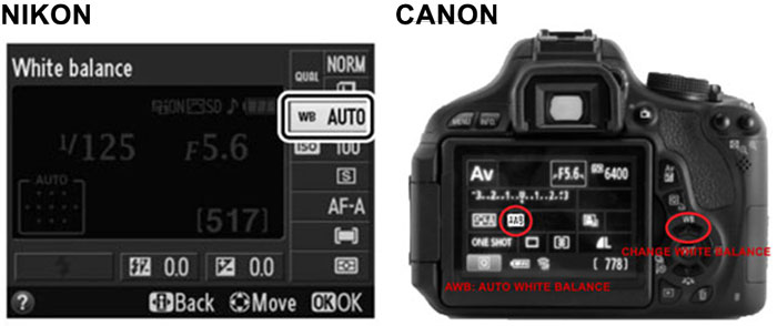 adjust white balance