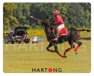 retouching and painting photos with ipad