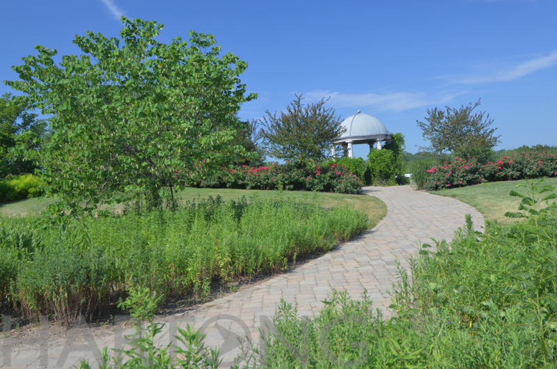 201206_hartong_glenwood01