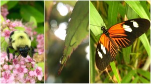 iphonography-hartong1