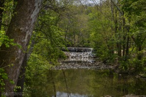 20150504 Sharon Woods Park Nature Photography walk, waterfall, wildflowers, Hamilton County, Cincinnati, DSLR how to take nature photographs, camera lesson. ©Malinda Hartong, Hartong Digital Media llc.