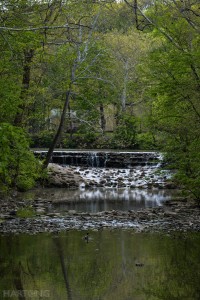 20150504 Sharon Woods Park Nature Photography walk, waterfall, wildflowers, Hamilton County, Cincinnati, DSLR how to take nature photographs, camera lesson. ©Malinda Hartong, Hartong Digital Media llc.