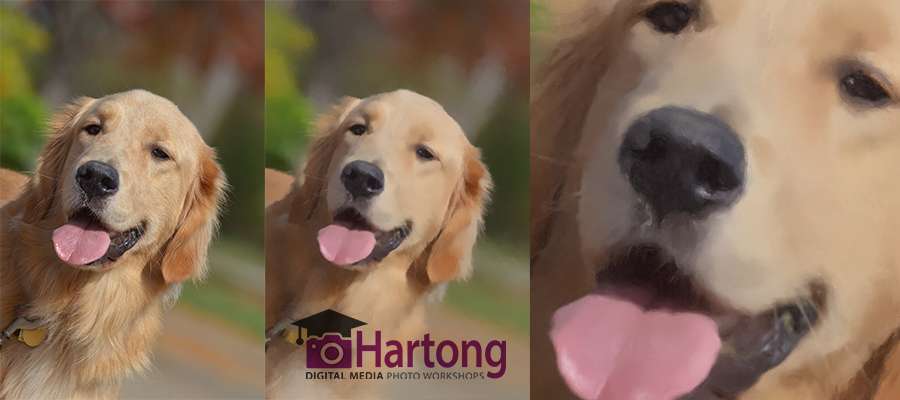 View this video post: Painting a Photo on iPad
