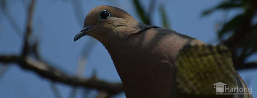 nature photography lessons and photo walks